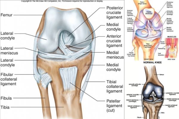 icd 10 for right knee in hindi