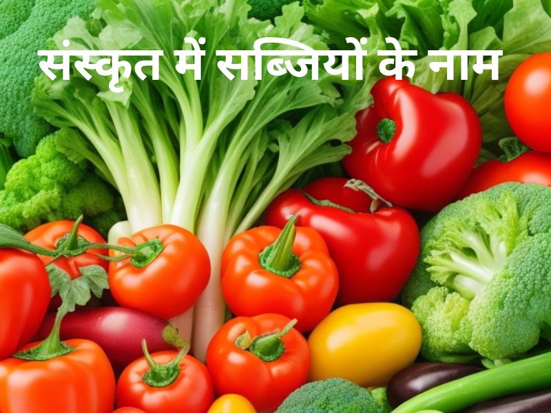 Vegetables Name in Sanskrit and Hindi